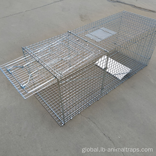 Metal Animal Trap Foldable Automatic Rodent Squirrel Cage For Sale Manufactory